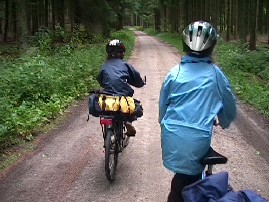 Gennem Rold Skov