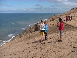 Rubjerg Knude