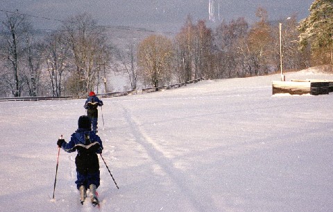 Langrend er muligt hvorsomhelst der er sne (Oslo Nordmarka 2004)